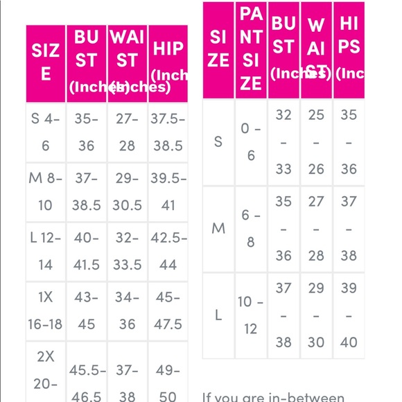 BETSY JOHNSON Women’s Performance Seamless Bra NWT - Picture 8 of 8